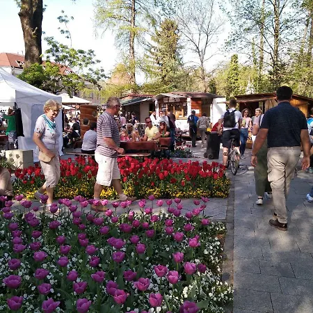 Apartman Vera Hévíz