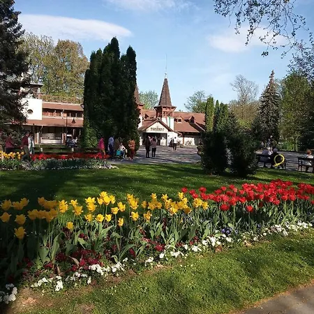 Apartman Vera
